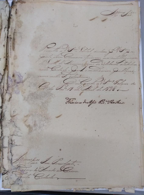 O Vice-Presidente da Província da Parahyba, Francisco de Assis Pereira Rocha envia Edital sobre estabelecimento de Escola de Meninas nessa Capital.(Parahyba, 19/04/1828)